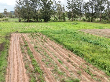 Farm & Agricultural Land