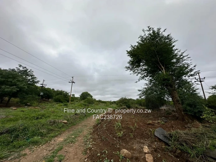 Industrial Stand Ready For Development (Sole Mandate)