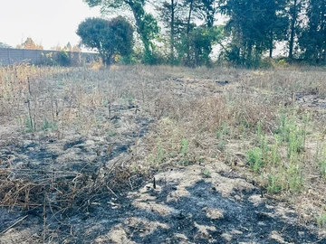 Farm & Agricultural Land