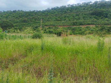 Farm & Agricultural Land