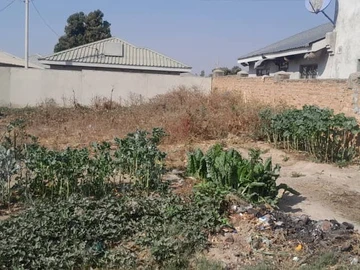 Stands & Residential Land