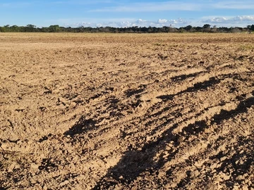 Farm & Agricultural Land