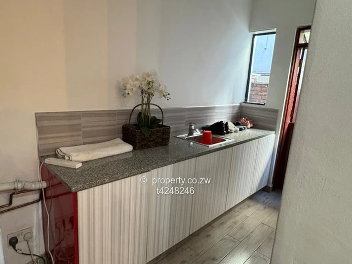Borrowdale Carrick Creagh estate fully furnished house to rent  (Sole Mandate)