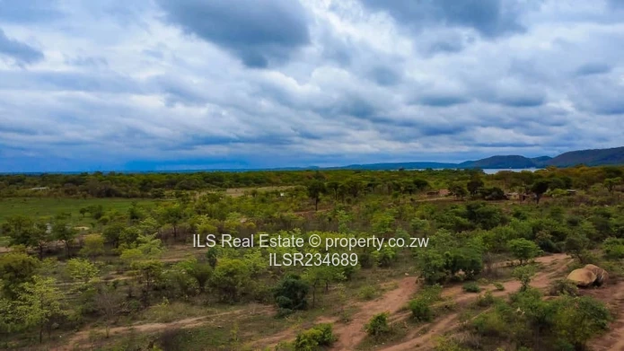 Lakeview Affluent Suburb Stands for sale