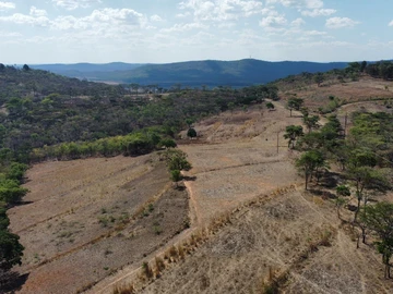 Farm & Agricultural Land