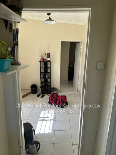Cottage to rent - Chisipite