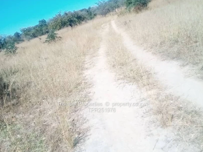 10ha Kwekwe  Farm — Gravel Tracks & Arable Land