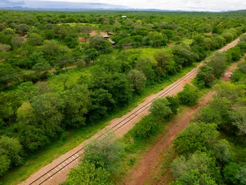 Farm & Agricultural Land