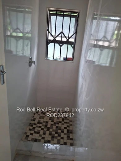 Bright 3-Bed Garden Flat Alexandra Park — Modern Kitchen