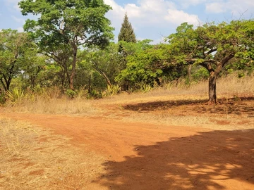 Land