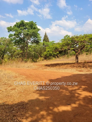 Glen Forest Land For Sale