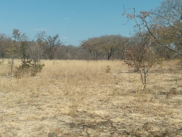 Farm & Agricultural Land