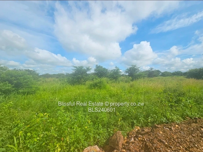 Stands for sale in Doornfontein 