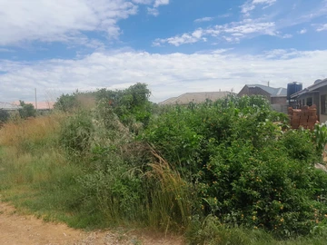 Stands & Residential Land