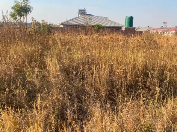 Stands & Residential Land
