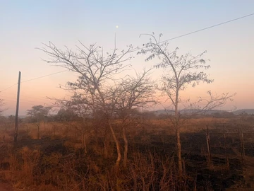Land