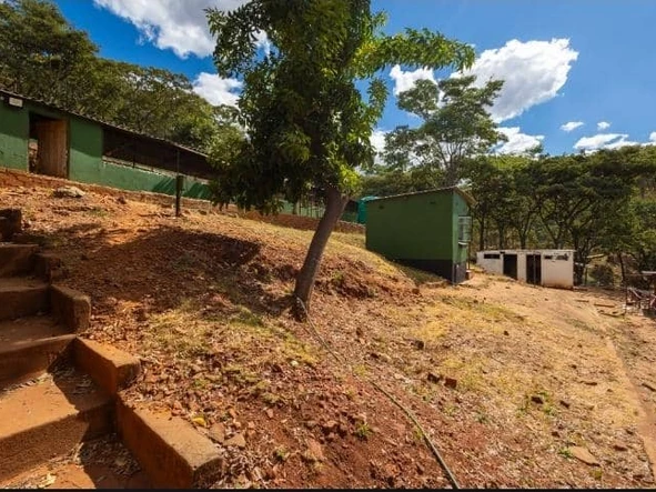 Farm & Agricultural Land