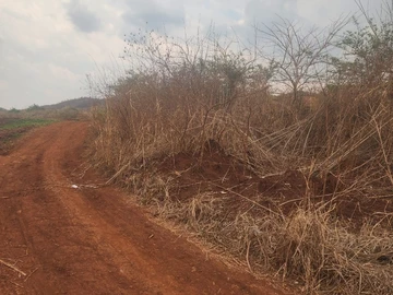 Commercial & Industrial Land