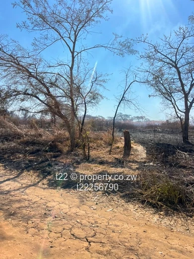 Sawara hills stands for sale with Title Deeds!!!