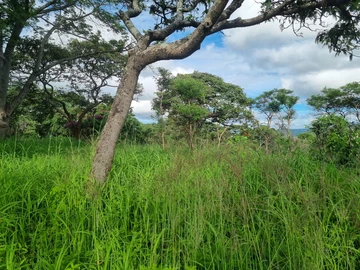 Farm & Agricultural Land