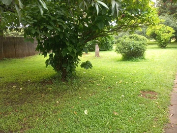 2 Bedroom Garden Flat