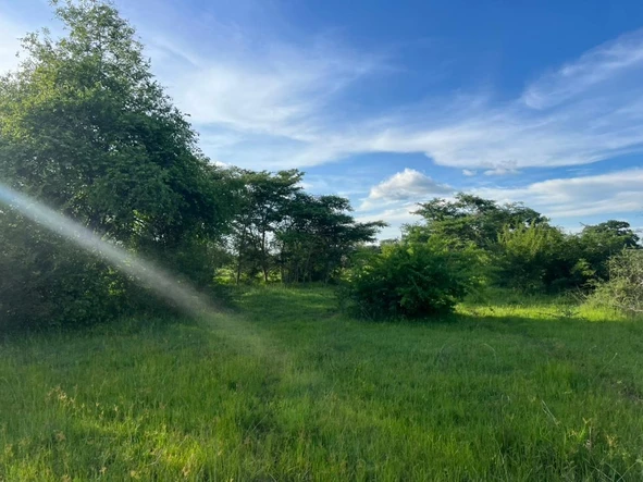 Farm & Agricultural Land