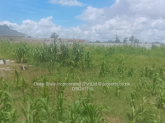 Avonlea Stand for sale 