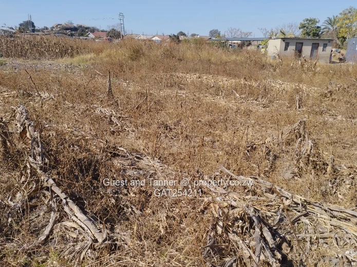 Ready-to-Build Commercial Stand- Glen Norah C