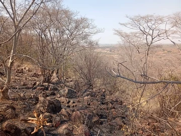 Farm & Agricultural Land