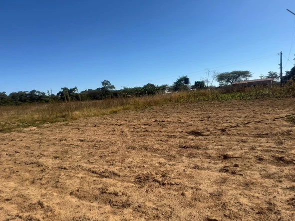 Farm & Agricultural Land