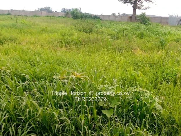 Goodhope Stand For Sale