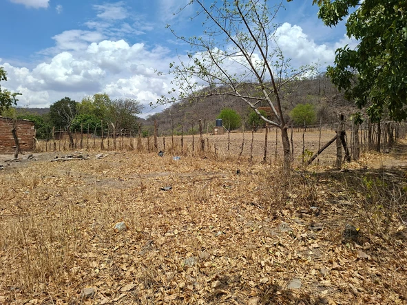 Farm & Agricultural Land