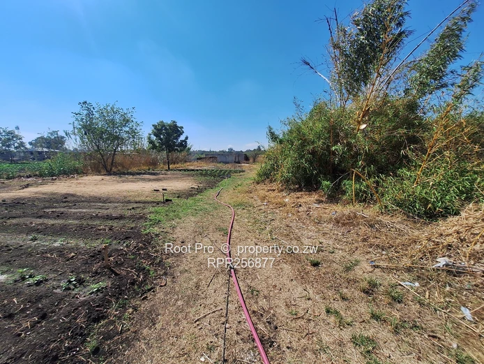 Greendale Avenue - Redevelopment Opportunity!