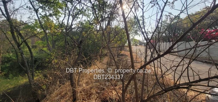 5200m² Glen Lorne Stand — Elevated Wooded Retreat