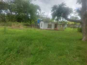 Farm & Agricultural Land