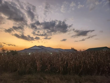 Land