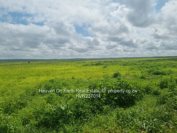 Green Gold For You Farmers!!