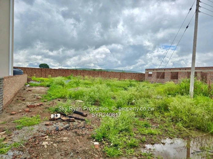 Rainham Park Stand For Sale