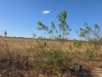 Farm & Agricultural Land