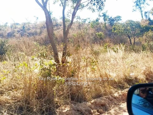 Crowhill Cleverhills Stand For Sale