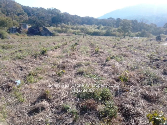 Burma Valley – Affordable 10ha Agricultural Gem!