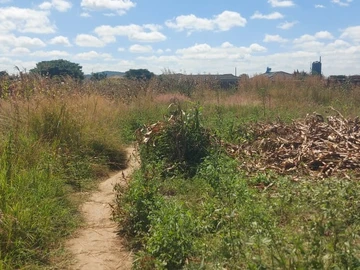 Stands & Residential Land