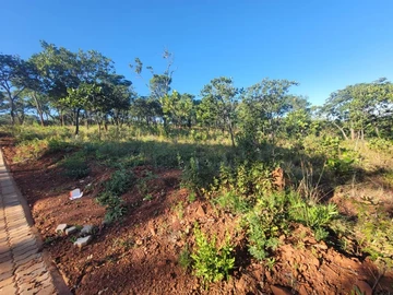 Gentle slope Land inside the Boom Gate