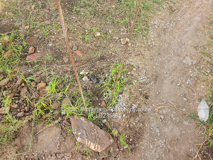 Safety First! Secure Gated Community! (Sole Mandate)