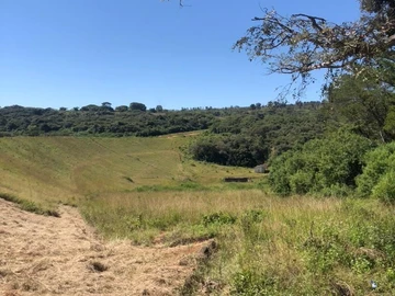 Land