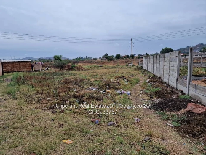 beautiful stand for sale (Sole Mandate)