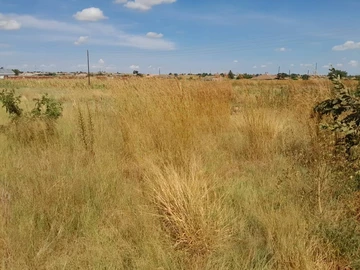 Stands & Residential Land