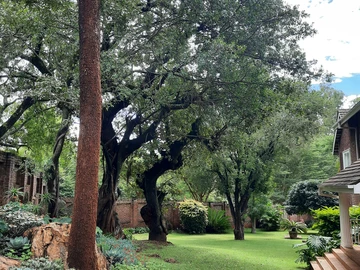 Large Gracious Home in Much Sought after Area - INVESTMENT ONLY