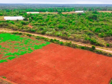 Farm & Agricultural Land