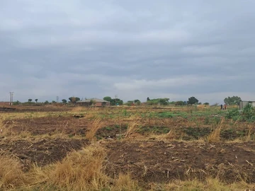 Farm & Agricultural Land